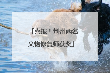 喜报！荆州两名文物修复师获奖