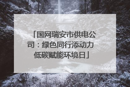 国网瑞安市供电公司：绿色同行添动力 低碳赋能环境日
