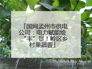 国网孟州市供电公司：电力赋能绘“丰”景！岭区乡村果蔬香