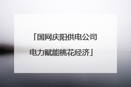 国网庆阳供电公司电力赋能桃花经济