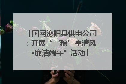 国网泌阳县供电公司：开展“‘粽’享清风 •廉洁端午”活动