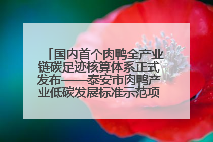 国内首个肉鸭全产业链碳足迹核算体系正式发布——泰安市肉鸭产业低碳发展标准示范项目顺利通过验收