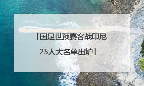 国足世预赛客战印尼25人大名单出炉