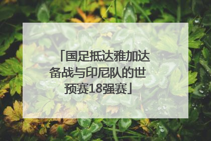 国足抵达雅加达备战与印尼队的世预赛18强赛