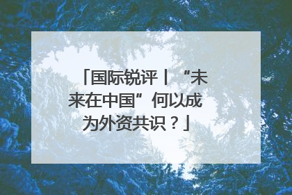国际锐评丨“未来在中国”何以成为外资共识？