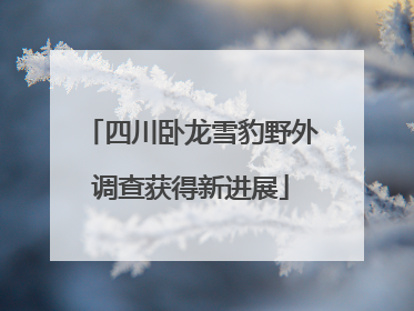 四川卧龙雪豹野外调查获得新进展