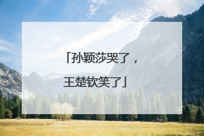 孙颖莎哭了，王楚钦笑了