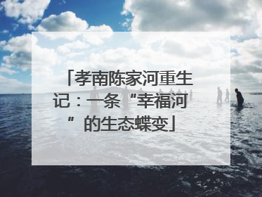 孝南陈家河重生记：一条“幸福河”的生态蝶变