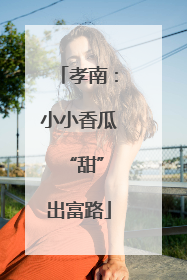 孝南：小小香瓜 “甜”出富路