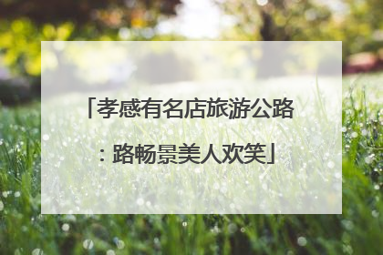 孝感有名店旅游公路：路畅景美人欢笑