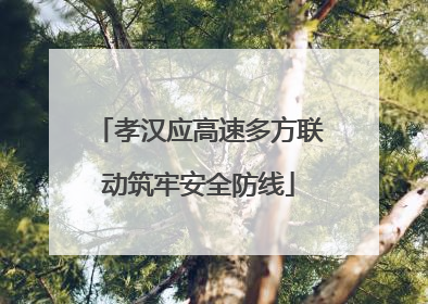 孝汉应高速多方联动筑牢安全防线