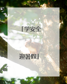 学安全 迎暑假