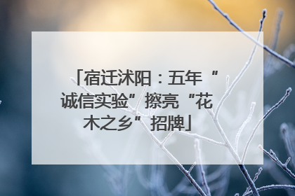 宿迁沭阳：五年“诚信实验”擦亮“花木之乡”招牌