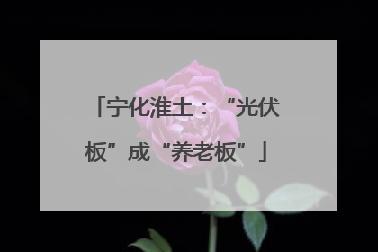 宁化淮土：“光伏板”成“养老板”