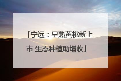 宁远：早熟黄桃新上市 生态种植助增收