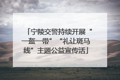 宁陵交警持续开展“一盔一带”“礼让斑马线”主题公益宣传活