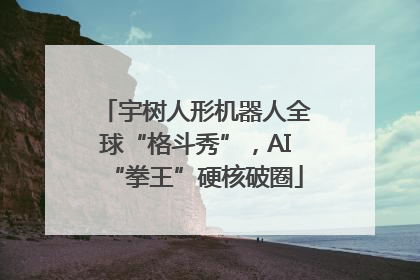 宇树人形机器人全球“格斗秀”，AI“拳王”硬核破圈