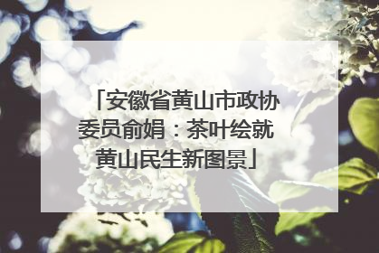 安徽省黄山市政协委员俞娟：茶叶绘就黄山民生新图景