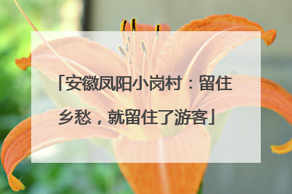 安徽凤阳小岗村：留住乡愁，就留住了游客