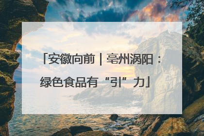 安徽向前｜亳州涡阳：绿色食品有“引”力