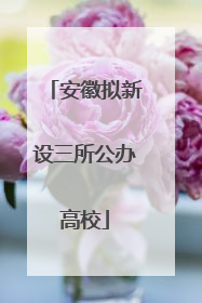 安徽拟新设三所公办高校
