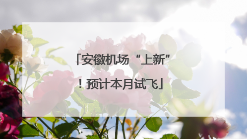 安徽机场“上新”！预计本月试飞