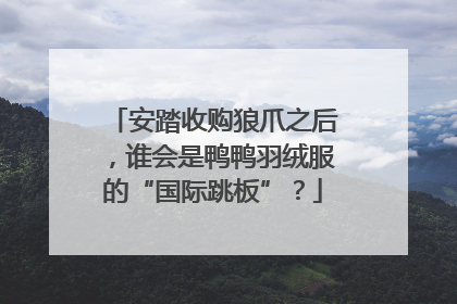 安踏收购狼爪之后，谁会是鸭鸭羽绒服的“国际跳板”？