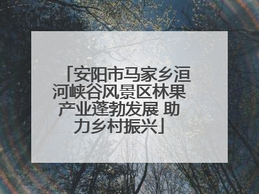 安阳市马家乡洹河峡谷风景区林果产业蓬勃发展 助力乡村振兴