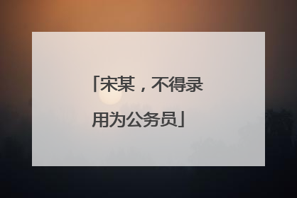 宋某，不得录用为公务员