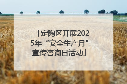 定陶区开展2025年“安全生产月”宣传咨询日活动