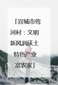 宜城市莺河村：文明新风润沃土 特色产业富农家