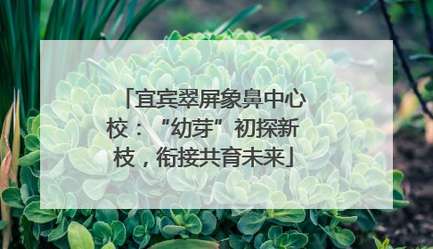 宜宾翠屏象鼻中心校：“幼芽”初探新枝，衔接共育未来