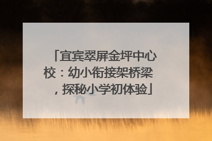 宜宾翠屏金坪中心校：幼小衔接架桥梁，探秘小学初体验