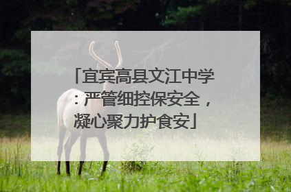 宜宾高县文江中学：严管细控保安全，凝心聚力护食安