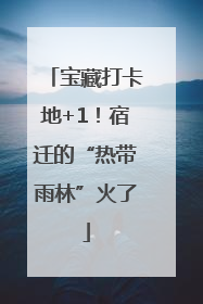 宝藏打卡地+1！宿迁的“热带雨林”火了