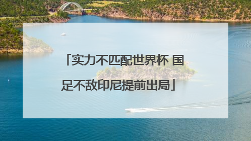 实力不匹配世界杯 国足不敌印尼提前出局