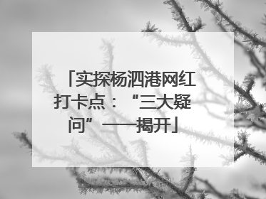 实探杨泗港网红打卡点：“三大疑问”一一揭开