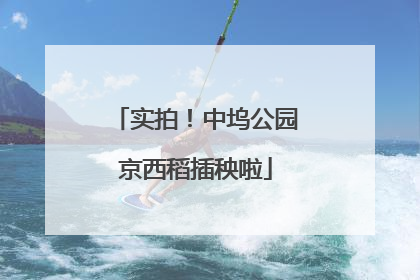 实拍！中坞公园京西稻插秧啦