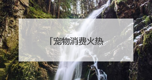 宠物消费火热，成都上演“萌宠总动员”