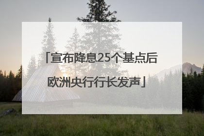 宣布降息25个基点后 欧洲央行行长发声