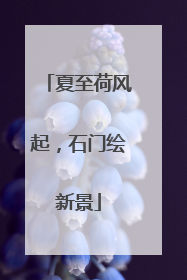 夏至荷风起，石门绘新景