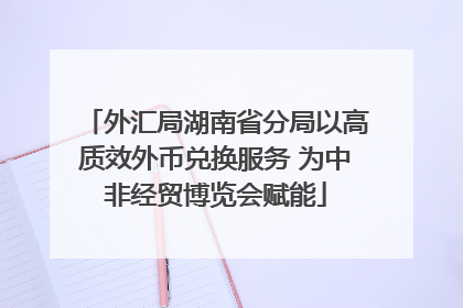 外汇局湖南省分局以高质效外币兑换服务 为中非经贸博览会赋能