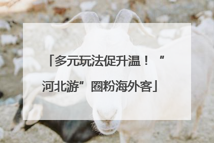 多元玩法促升温！“河北游”圈粉海外客