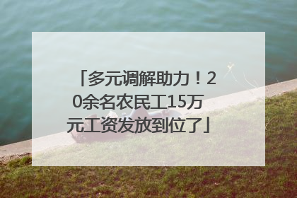 多元调解助力！20余名农民工15万元工资发放到位了