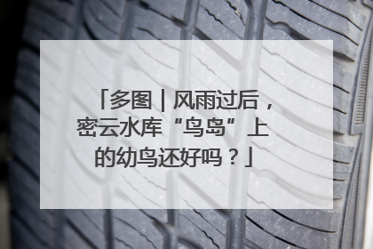 多图｜风雨过后，密云水库“鸟岛”上的幼鸟还好吗？