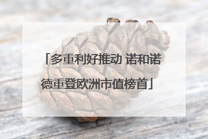 多重利好推动 诺和诺德重登欧洲市值榜首