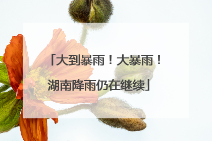 大到暴雨！大暴雨！湖南降雨仍在继续
