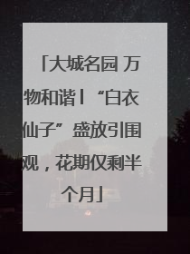 大城名园 万物和谐│“白衣仙子”盛放引围观，花期仅剩半个月