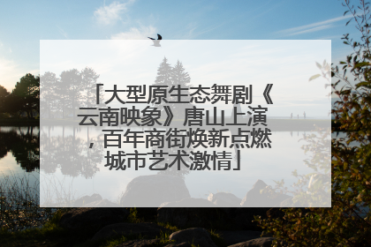 大型原生态舞剧《云南映象》唐山上演，百年商街焕新点燃城市艺术激情