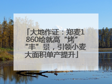大地作证：郑麦1860绘就高“烤”“丰”景，引领小麦大面积单产提升